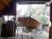 De opening van de restauratieloods moest worden verbreed